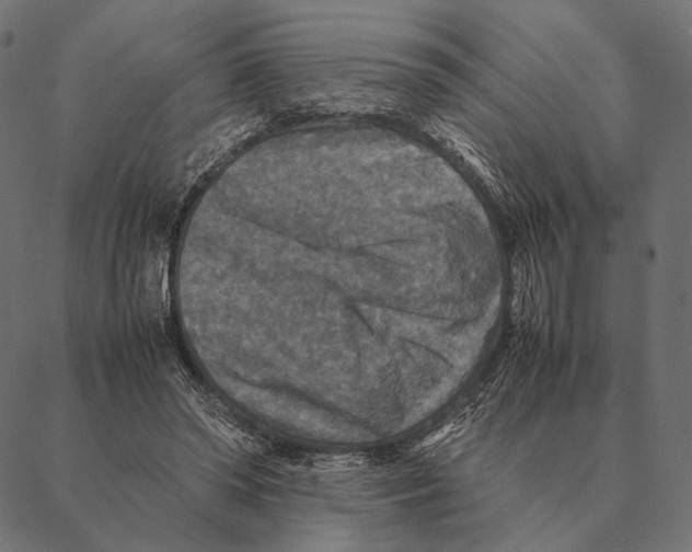 X0000087330398200705181041