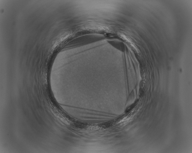 X0000087330399200705181041