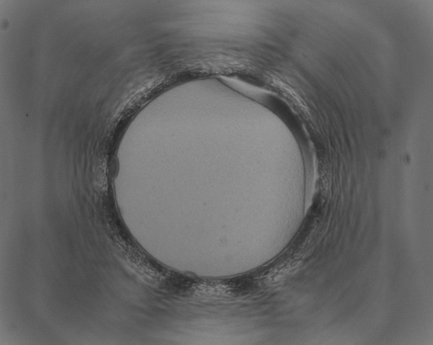 X0000087330403200705181041
