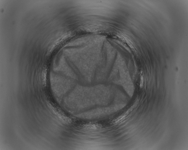 X0000087330404200705181041
