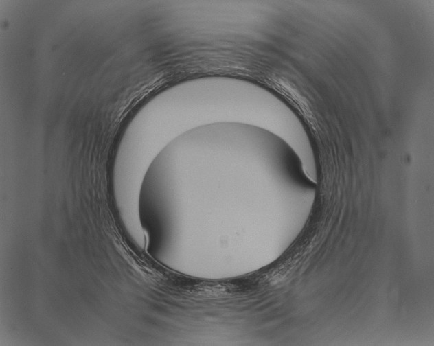 X0000087330405200705181041