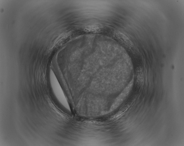 X0000087330408200705181041