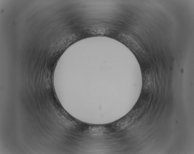 X0000087330414200705181041