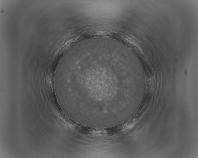 X0000087330415200705181041