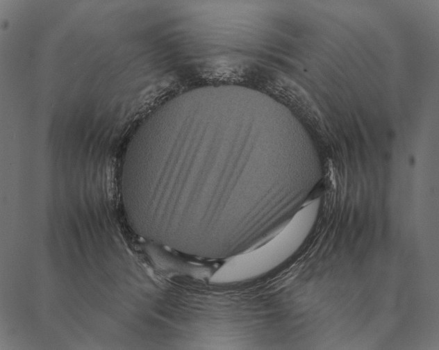 X0000087330416200705181041
