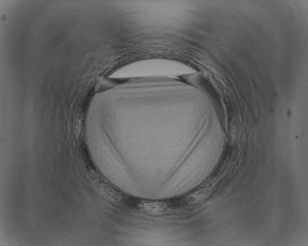 X0000087330417200705181041