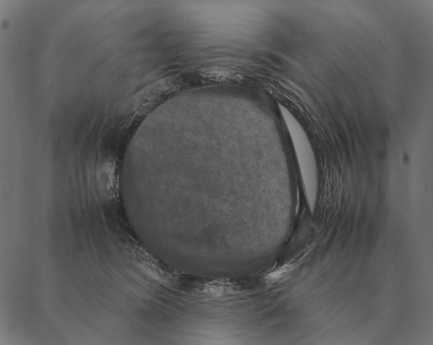 X0000087330420200705181041