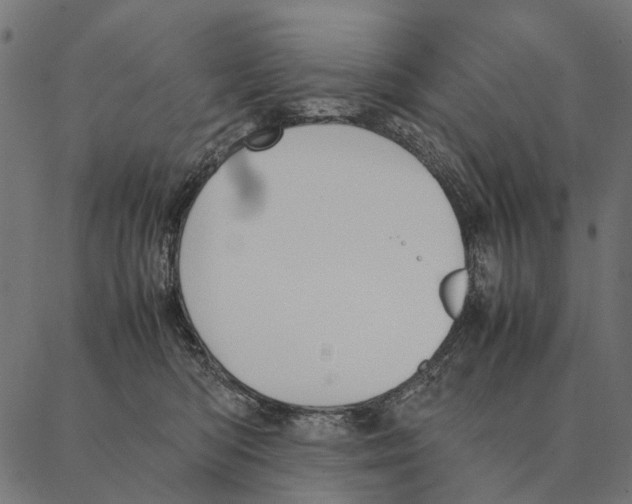 X0000087330422200705181041