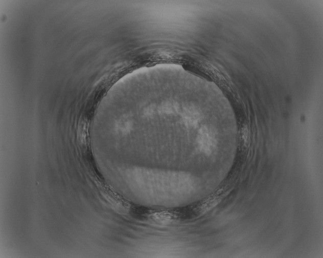 X0000087330423200705181041