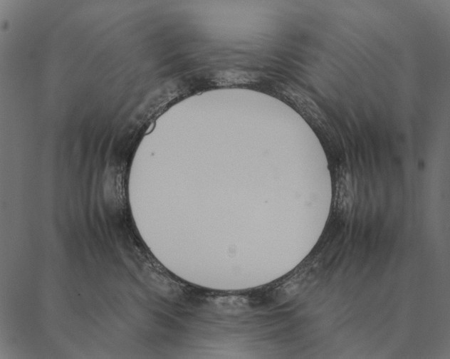 X0000087330426200705181041