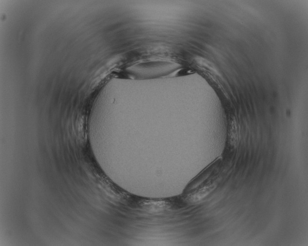 X0000087330428200705181041