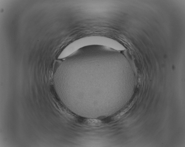 X0000087330429200705181041