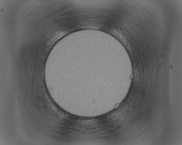 X0000087330433200705181040