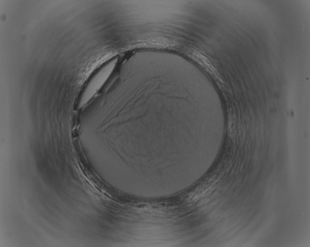 X0000087330434200705181040