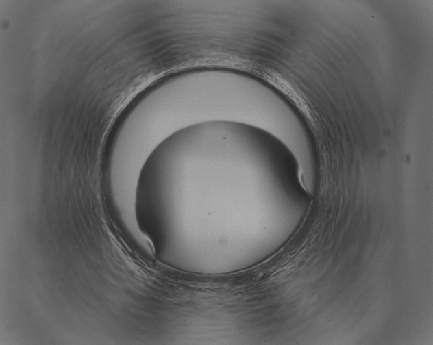 X0000087330436200705181040