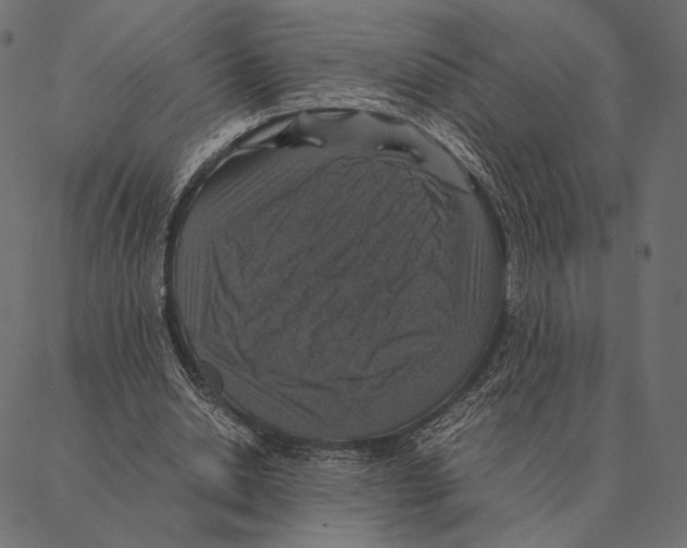 X0000087330438200705181040