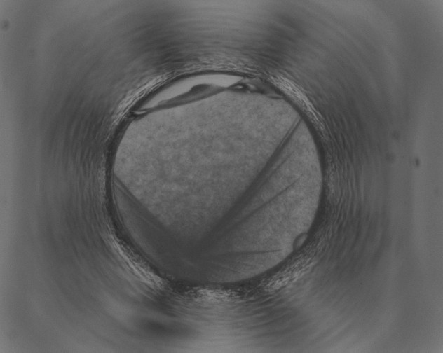 X0000087330442200705181040