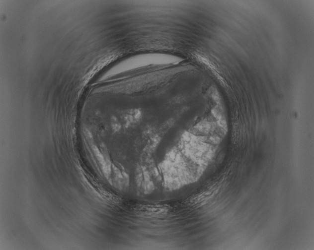 X0000087330443200705181040