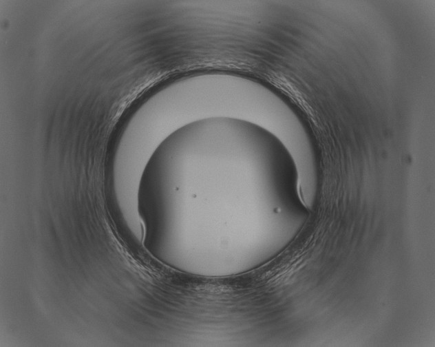X0000087330444200705181040