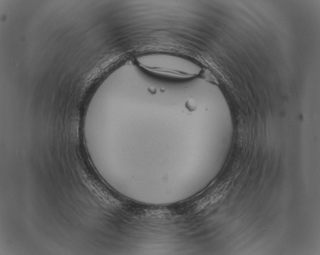 X0000087330446200705181040