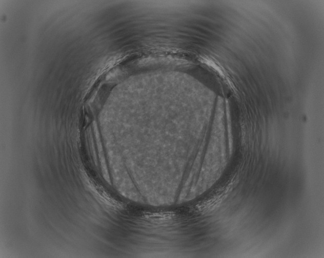 X0000087330447200705181040