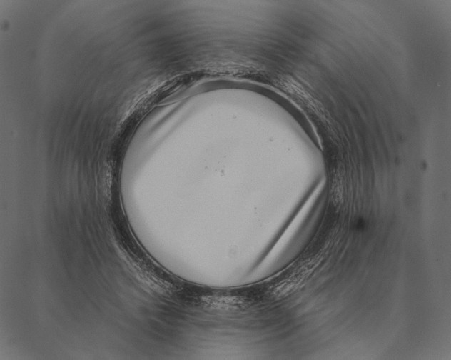 X0000087330448200705181040