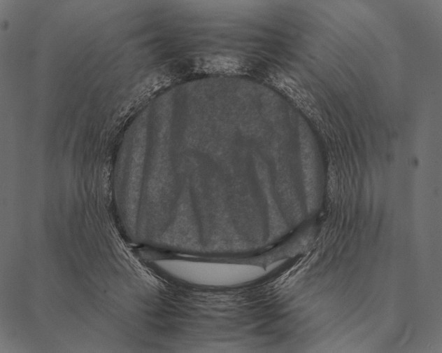 X0000087330449200705181040