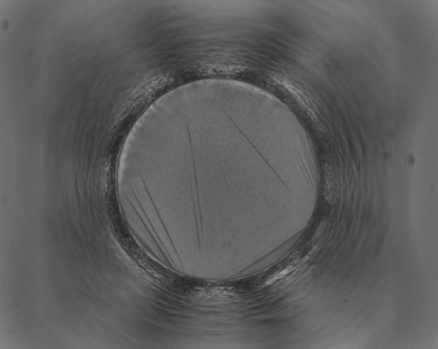 X0000087330451200705181040