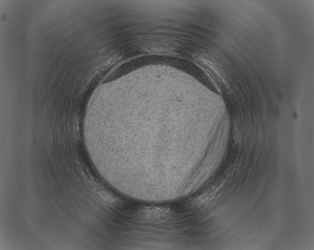 X0000087330453200705181040