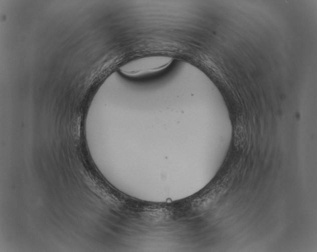 X0000087330454200705181040