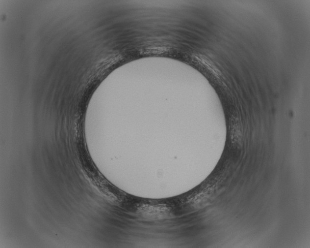 X0000087330455200705181040