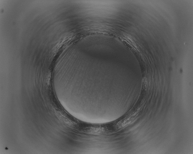X0000087330458200705181040