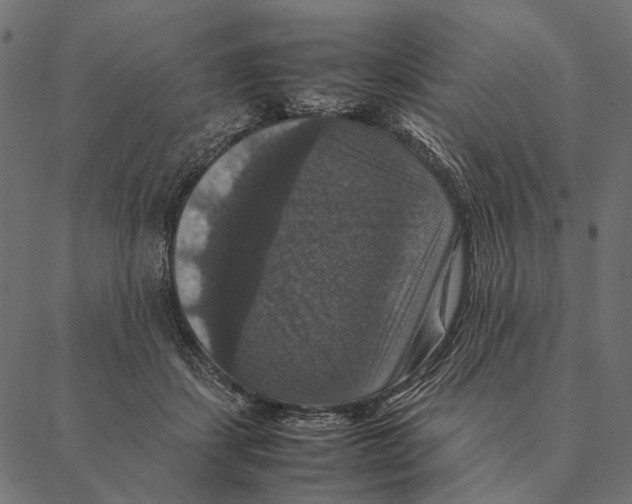X0000087330459200705181040