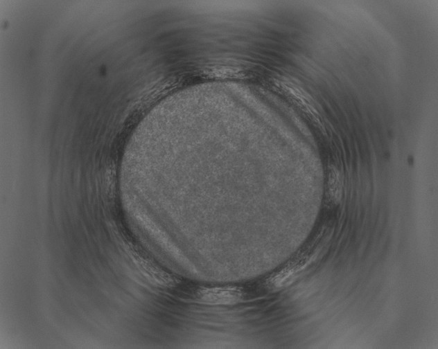 X0000087330461200705181040
