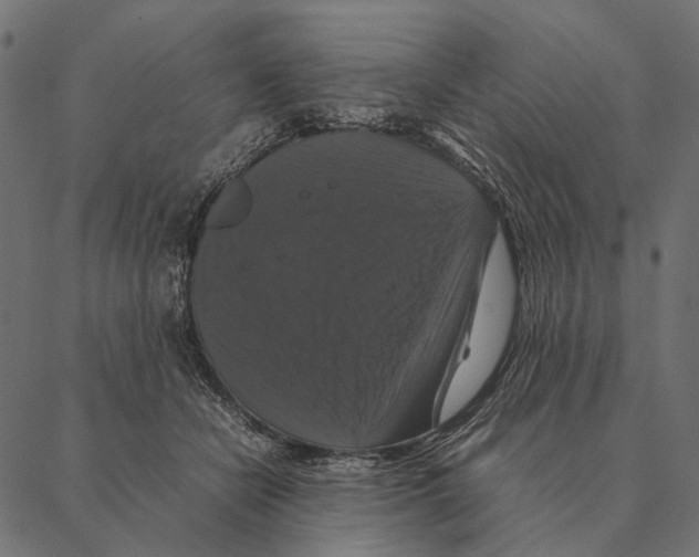 X0000087330462200705181040
