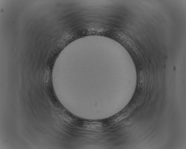 X0000087330463200705181040