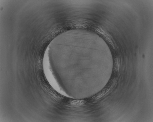 X0000087330465200705181040