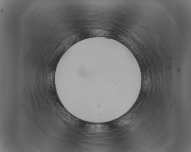 X0000087330473200705181041