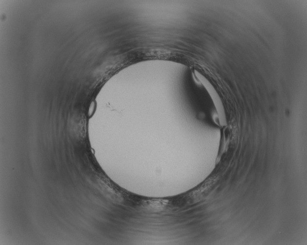 X0000087330474200705181041