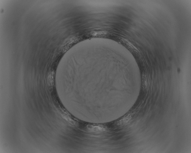 X0000087330475200705181041