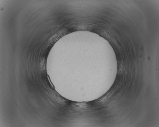 X0000087330478200705181041
