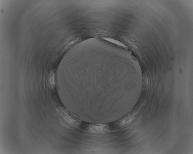 X0000087330479200705181041