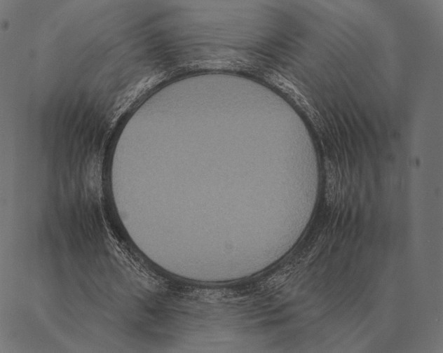 X0000087330482200705181040