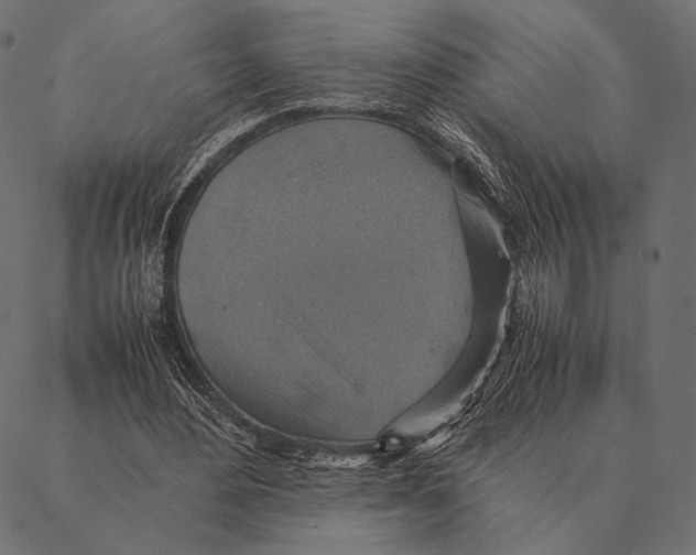 X0000087330484200705181040