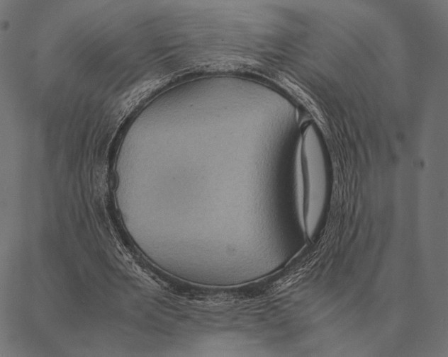 X0000087330485200705181040