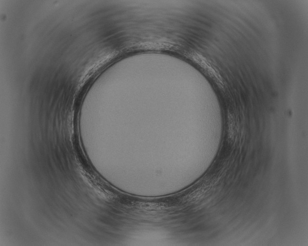 X0000087330486200705181040