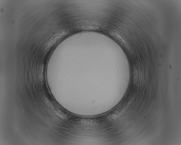 X0000087330490200705181040