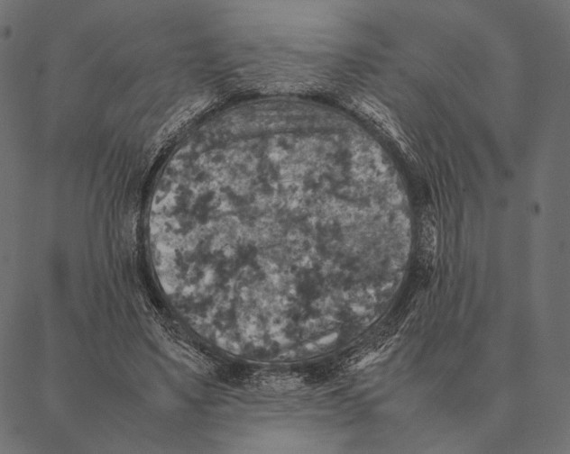 X0000087330491200705181040