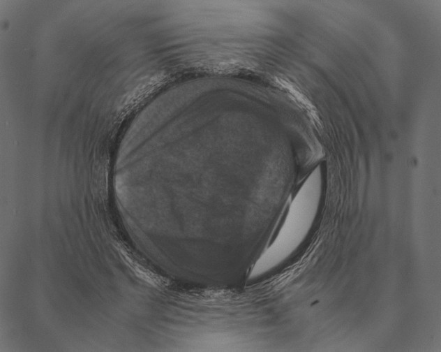 X0000087330493200705181040