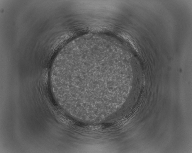 X0000087330495200705181040